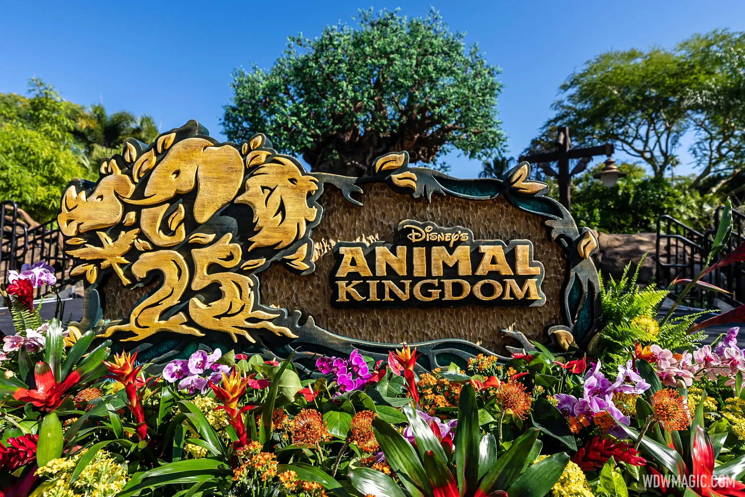 5 Secretos de Animal Kingdom